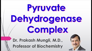 LECTURE II Pyruvate Dehydrogenase Complex II Regulation of PDH complex II Dr Prakash Mungli