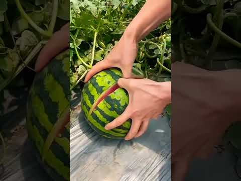 কথাগুলো মন দিয়ে শুনে যাবেন