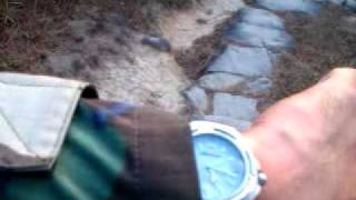 HKARA TTS Project Visit-19 29 Jan.11