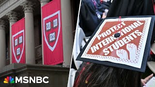 ‘A bit of a blink’: Judge blocks Trump’s foreign student ban at Harvard—for now
