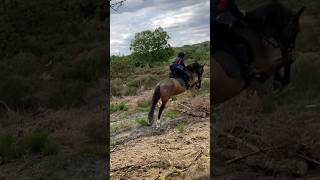 Hacking out with @theheartofhorsemanship 💕🐴 #horse #equestrian #rider #cute #spanish #mario #fyp