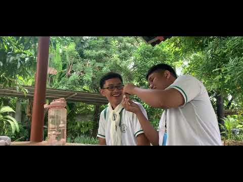 DISASTER AWARENESS CAMPAIGN (Group 3 - BUSSI)