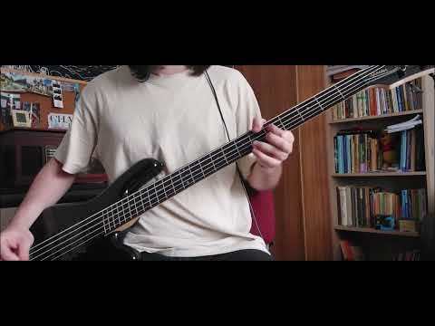 Alice in Chains - Them Bones Bass Cover