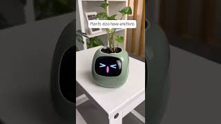 Meet the future of plant care! 🌱🤖#SmartFlowerPot #PetRobot #PlantCare #HomeDecor #emotional