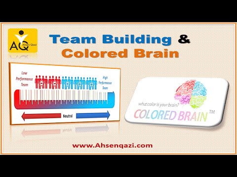 Team building & Colored Brain  | Team Development |Team performance | Team Engagement | Ahsen Qazi