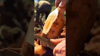 ✨ The Wise Judgment of Imam Ali (RA) – A Lesson in Justice and Wisdom#ImamAli #IslamicWisdom