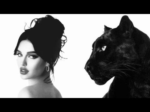 Quantum Leap: You're living in The Ultimate Glow-up Timeline!