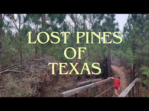 Exploring Smithville & Buescher State Park