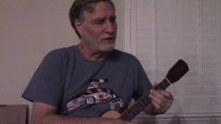 It's a Feature, Not a Bug - ukulele original