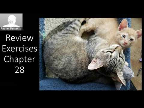 Stats Lecture Chapter 28 The Chi Square Test Exercises