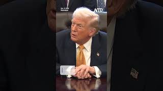 Trump Says Venezuela Leaker in Jail, Calls Delcy Rodríguez a 'Terrific Person'