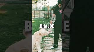Sidhu moose wala ☠️ #moreviews2025 #newreview #subscribemychannel