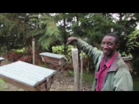 Learn to make a Kenyan Top Bar Honey Bee Hive
