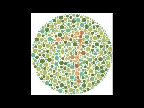 Color Blindness Test