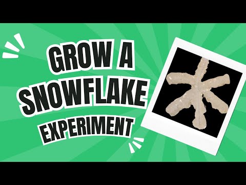 How to Grow a Snowflake Supersaturation Science Experiment for Kids