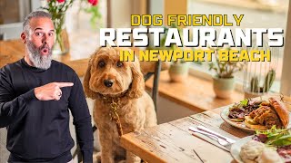 Best Dog Friendly Restaurants In Newport Beach CA