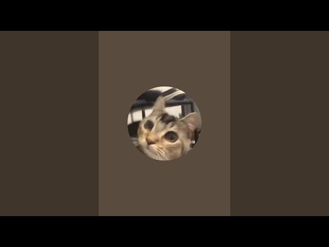 GETTING UNBANNED AFTER 4 WEEKS! (READING CHAT)