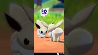 Shiny Eevee Fight #eevee #pokemonswordshield