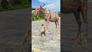 Wildebeest dispersal special effects #Visual shock #Visual impact