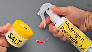 Mix SALT and HYDROGEN PEROXIDE – The Jaw-Dropping Reaction You Have to See!