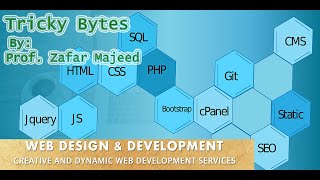 Using Colors in CSS - HTML