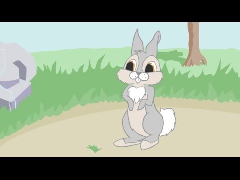 Practice Bunny Animation