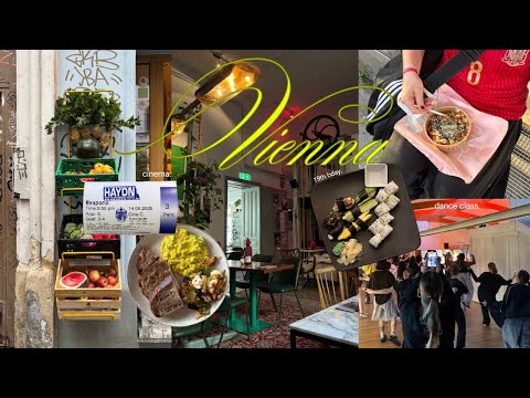 vienna diaries˚🍸｡˚ turning 19, study dates & fall days