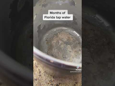 Ewwwww! Cleaning our 2 water distillers after months of use.