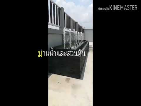 ม่านน้ำและสวนหิน บ่อน้ำพุ ม่านน้ำ รับจัดสวนหิน