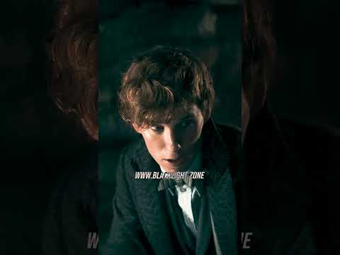 Fantastic Beasts But It's CRAB RAVE #fantasticbeasts #crabrave #hogwartslegacy #hogwart #harrypotter