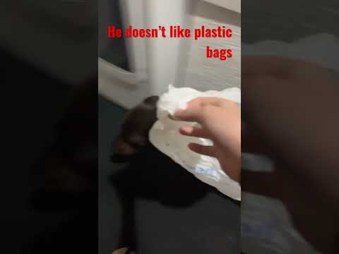 This makes soooo much sense😂