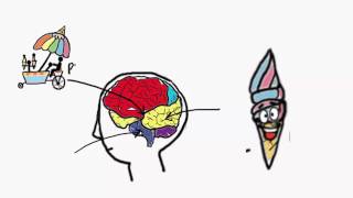 Human Brain Vs Computer : English