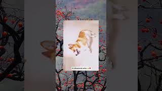 #dog#PetAdventures#viralvideo#funnydog#FurryFriends#puppylife