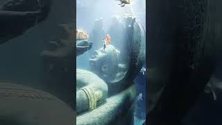 #explorepage #cricket #sajaungalutkarbhiterebadankida #explore #funny #jiskeaanesemukammalhogayithiz