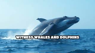 Explore Subpolar Wildlife: 2025 Cost Comparison