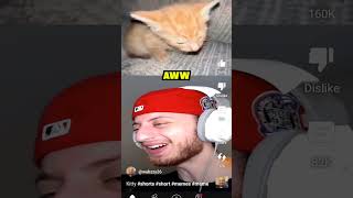 #Aww #a #kitty #ahhhhhhh #zionvibes