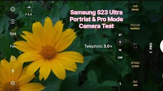 Samsung 200 MP Camera Quality Test - Portriat & Pro Mode 📸 #samsung #s24ultra