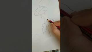 hibiscus #Flower #art #draw #reels #creativetechniques #art #reels #drawing