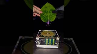 🍃 Music Tesla Coil #experiment #leaf #shorts