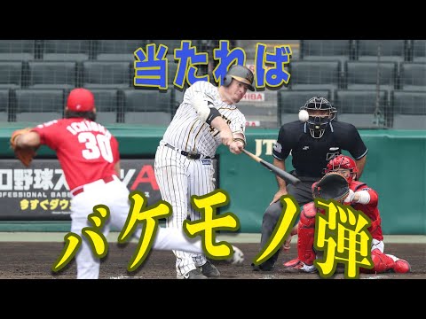 【POWER】Crazy Home Runs HANSHIN TIGERS Justin Bour