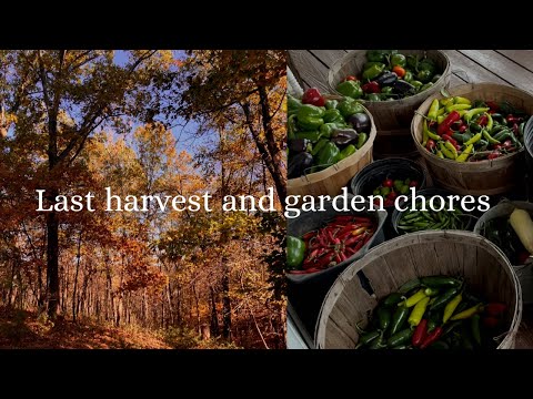 Spend the day with me: fall chores