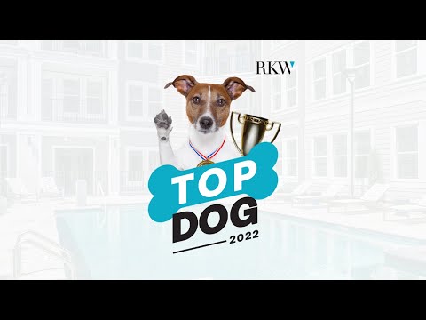 2022 Top Dog Winner!