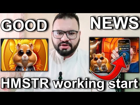 Why is the hamster kombat app not working ?