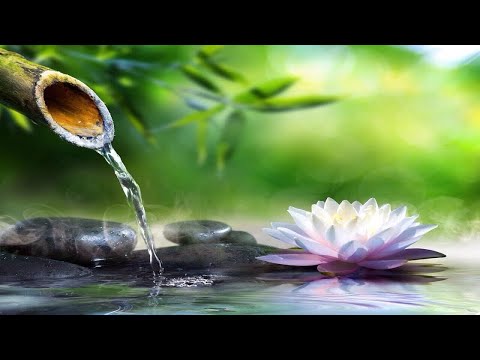 Relaxing Music - & Bamboo Water Fountain, Sleep Music, Bamboo Water Sounds, Meditation Music