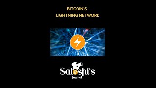 Have you ever used the Lightning Network?