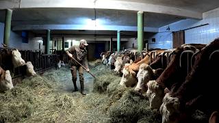 Cold Winter Day on a Small Dairy Farm