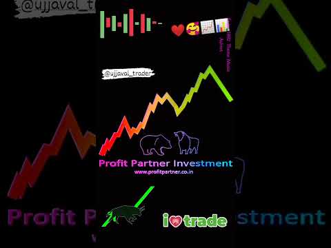 Profit Partner Investment