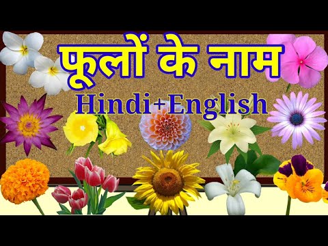 Flowers Name List In Hindi And English | फूलों के नाम On VidzooTv #nersery rhymes