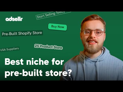 How to Choose Pre-Built Shopify Store Niche - adsellr