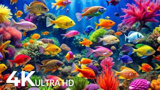 DREAM AQUARIUM 4K - Marine Life, Sea Animals and Coral Reef - Fish Tank Sounds for Deep Sleep #68